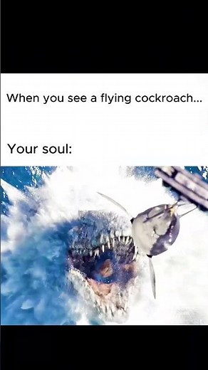 when you see a flying cockroach! #memes