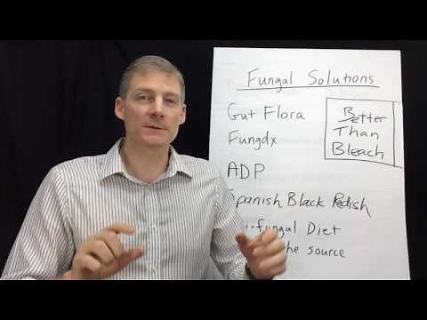 Better Than Bleach! Kill Mold/Yeast in Your Body in 3 Simple Phases.