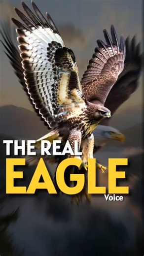 The Real Eagle Voice! #shorts