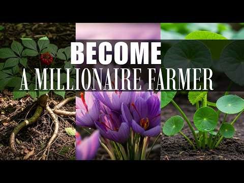 12 Plants That Can Make You a Millionaire | biblical plants