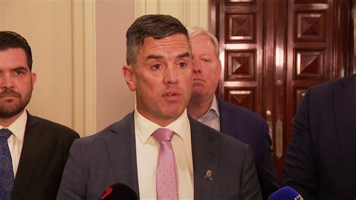 New Victorian Liberal leader Brad Battin has challenge to unify divided party