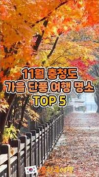 11월 충청도 가을 여행 단풍 명소 TOP5 | 국내여행추천, 국내여행가볼만한곳, 국내여행지추천