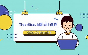 【TigerGraph图认证课程】GSQL 101 Module 4