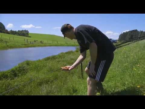 Finding faults in your electric fence system