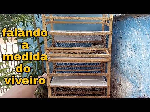 Como fazer um viveiro para Codorna (e falando a medida do viveiro)