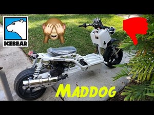 IceBear Maddog 2022 Full Assembly, First Start and Ride Review- BAD QUALITY CONTROL #gy6 #gy6nation