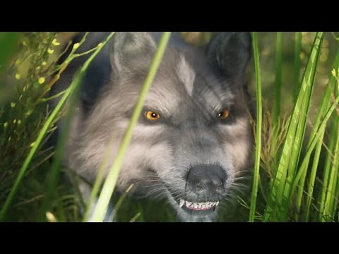 Wolf Game: The Wild Kingdom | Story Game Movie