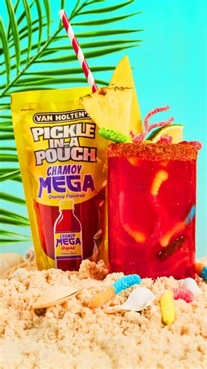 Our Van Holten's x Chamoy Mega pickle is now available at @dollartree stores nationwide! Spicy, tangy, salty and full of flavor. 🌶️🔥 #chamoy #dollartreefinds #dollartree #pickle | Van Holten’s Pickle-in-a-Pouch