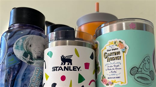 Stanley fans call out woman for throwing 4 cups in the trash: 'Scary level of consumerism'
