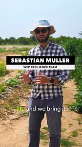 The half moon miracle in the Sahel