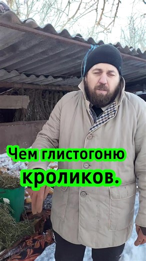 Ответ пользователю @alexkis68 #добрый #сельская #жизнь