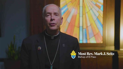Bishop Mark Seitz issues apology as El Paso Catholic Diocese files for bankruptcy amid 12 clergy abuse lawsuits