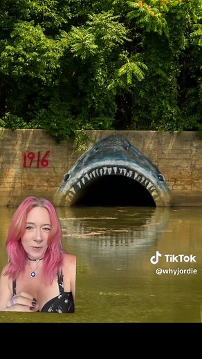 Matawan Man-Eater Shark Mural: Jaws Inspiration in NJ Tunnel
