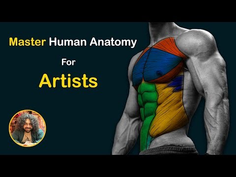 Master Human Anatomy for Artists - The Ultimate Drawing & Sculpting Guide