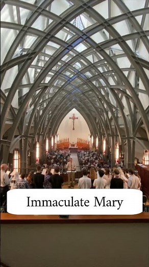 Immaculate Mary #hymns #hymn #catholic #blessedvirginmary #rosary #catholicism #sacredmusic #jesus