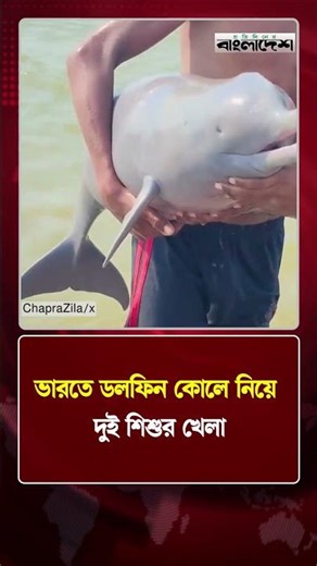 ভারতে ডলফিন কোলে নিয়ে দুই শিশুর খেলা | India | Dolphin | Protidiner Bangladesh