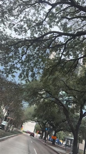 Andrea on Instagram: "Just another day in the field ✨ From troubleshooting equipment to explaining how an ICE probe helps guide cardiac procedures from inside the heart — every day is a mix of challenges and learning. Not everything is perfect, but that’s what makes engineering so real. 💙🛠️ #FieldEngineerLife” Hoy fue un día lleno de aprendizaje en el campo 🚑💙 Además de mi rutina como ingeniera biomédica, expliqué qué es un ICE probe (Intracardiac Echocardiography): es una sonda de ultrasoni