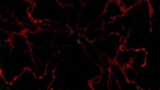 UNDERTALE: Last Corridor 即将迎来更新💥💥💥在迎来更新之后将成为最强非对称游戏🗣🗣🗣