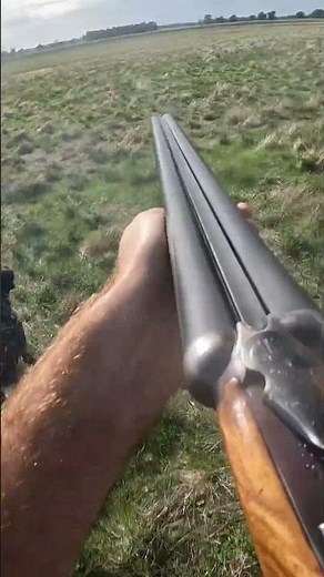 Quail Hunting In Australia 🇦🇺
