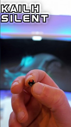 You want a Silent Gaming Mouse?