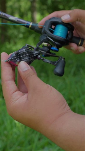 The Best Braided Fishing Line for Topwater Fishing #Fishing #Fishingvideos #fishingviral
