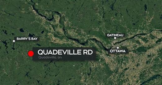 Suspected animal attack leaves child with life-threatening injuries, Ont. police investigating
