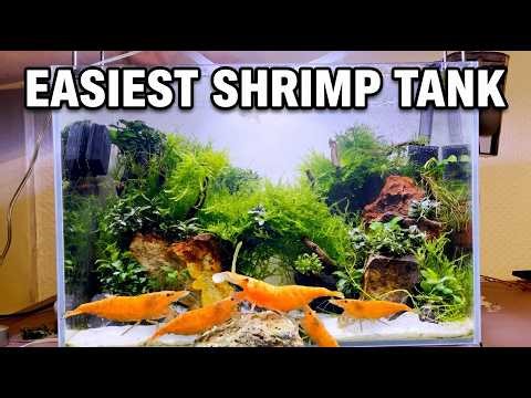 I Built A Nano Shrimp Tank Using ONLY Epiphytes 🌿🦐