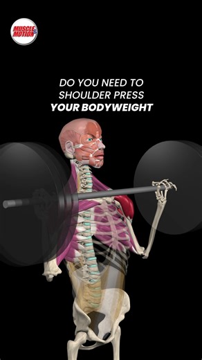 140K views · 1.3K reactions | Do You Need to Shoulder Press Your...