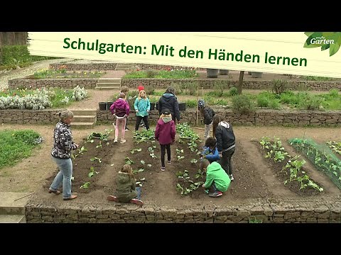 School gardening lessons: How children learn in the garden | MDR Garten