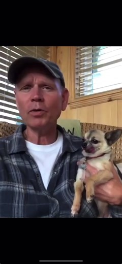 Furious Dogs Compilation: Funny and Angry Canines