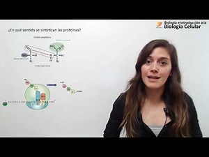 70- Cell Biology. Regulation of Translation