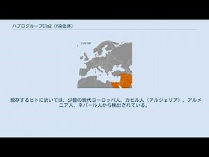 ハプログループC1a2 (Y染色体)