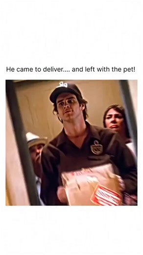 Movies || Entertainment || Reels on Instagram: "Follow @moviedistricts for more high-octane cinematic reels. Ace Ventura: Pet Detective (1994) is a slapstick comedy starring Jim Carrey as Ace Ventura, a bizarre yet brilliant private detective who specializes in finding missing animals. When the Miami Dolphins’ mascot dolphin, Snowflake, is kidnapped just before the Super Bowl, Ace is hired to crack the case. What follows is a series of outrageous disguises, absurd humor, and unexpected twists. A