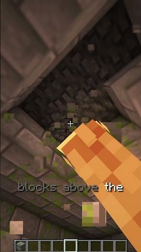 The EASIEST Falling Block Dupe in Minecraft!