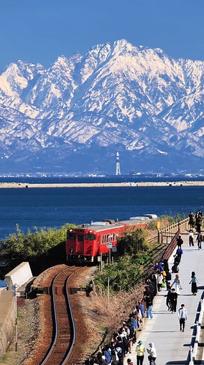 冬の富山・雨晴海岸の絶景スポット