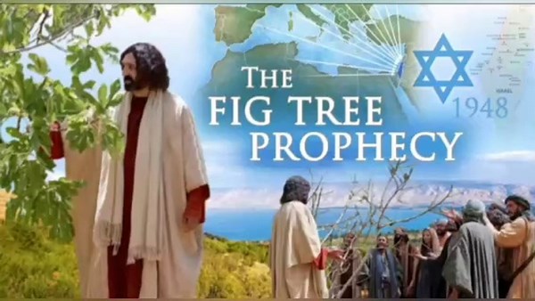 The Significance of the Fig Tree in Biblical Teachings Related to Israel