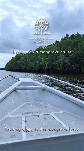 Ready for an adventure? Join our Mangrove Cruise and discover the stunning wildlife of Tanjong Sepat! Catch glimpses of crocodile sun-bathing by the river bank, have fun feeding the monkeys, look out for jumping mud slippers and if you are lucky enough, there will be playful otters too! While you are appreciating Mother Nature at her best, wouldn’t it be nice to preserve the environment – care to do your part and plant a mangrove sapling? #goldenpalmtreemalaysia #mangrovecruise #malaysia #pusing