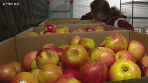 SNAP benefits might stop due to government shutdown | Here’s what you need to know