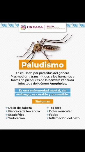 Síntomas y Prevención del Paludismo