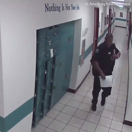 1.2M views · 12K reactions | When you'll run at criminals, but away from mice  | LADbible | Facebook