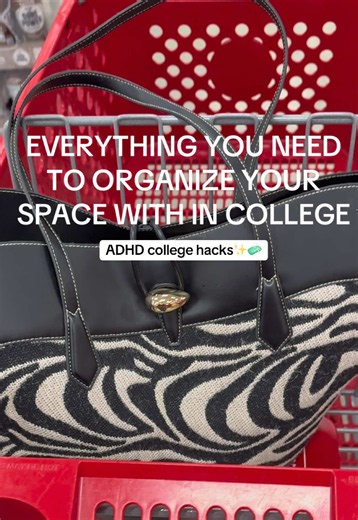 Everything you should get from target to organize your space to set you up for a productive and successful school year 📆 Back to college series on a dollar tree budget ✨ #viral #college #adhdtips #executivedysfunction #organization @target