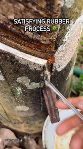 100K views · 641 reactions | Satisfying Rubber Processing Natural rubber satisfaction Daily content Follow Inspirgreen for more | Inspirgreen | Facebook