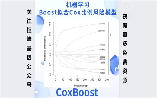 MachineLearning 24. 机器学习之似然增强Cox 比例风险模型筛选变量及预后估计 (CoxBoost)