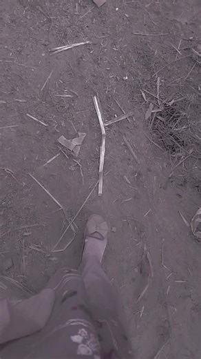 aman malik (@aman.malik6063)’s videos with original sound - aysha_mim