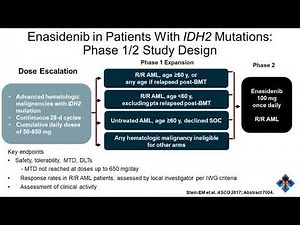 Acute Myeloid Leukemia: Navigating Treatment Paradigm Shifts and Disease Heterogeneity