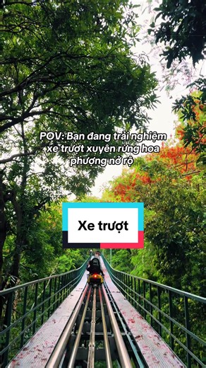 Trượt xe xuyên rừng hoa phượng Núi Bà Đen Tây Ninh