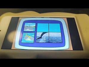 Go Diego Go Ocean Animal Rescuer Bottlenose Dolphin Puzzle