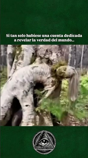 Most Creepiest Trees Video 😨 #haunted #shorts