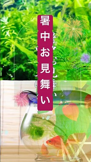 【暑中見舞い動画】金魚と花火で涼をお届けする lineで送る夏の無料動画