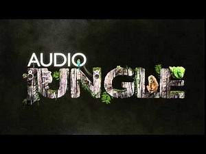 Music - Endless Journey | AudioJungle